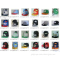 Snapback Caps/Hats